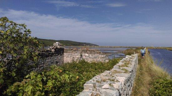 Parco Naturale delle Saline di Sicciole